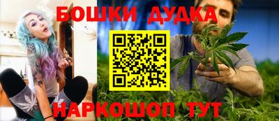 индика Ирбит