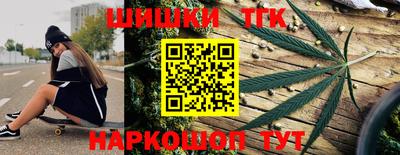 индика Ирбит