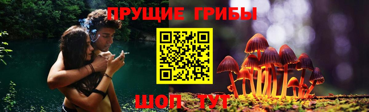 Галлюциногенные грибы мицелий  Псилоцибиновые грибы мухоморы  Евпатория  Вход с VPN 
